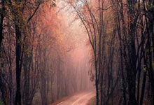 巴萨球员受伤缺席国际比赛，备战新赛季的挑战与希望