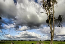 皇家马德里迎战巴黎圣日耳曼